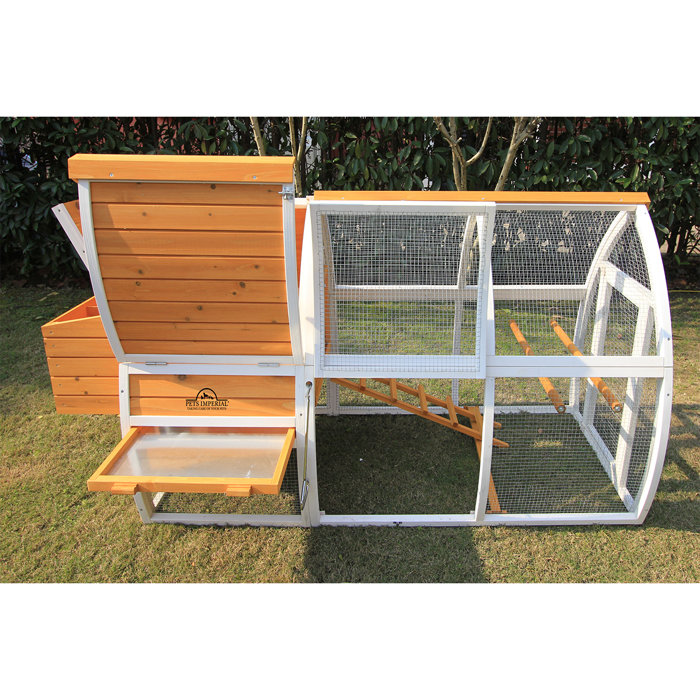 Pets Imperial® Chicken Coops Nesting Boxes & Reviews Wayfair